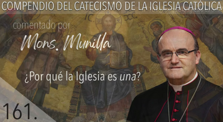 Compendio del Catecismo de la Iglesia Católica: Nº 161 ¿Por qué la Iglesia es una? Responde Mons. José Ignacio Munilla, obispo de San Sebastián