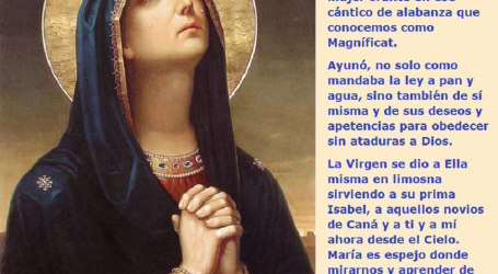La Virgen María es espejo donde mirarnos y aprender a vivir una vida según la voluntad de Dios / Por P. Carlos García Malo