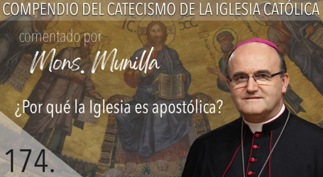 Compendio del Catecismo de la Iglesia Católica: Nº 174 ¿Por qué la Iglesia es apostólica? Responde Mons. José Ignacio Munilla, obispo de San Sebastián