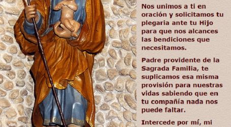 San José, padre providente de la Sagrada Familia, te suplicamos esa misma provisión para nuestras vidas / Por P. Carlos García Malo