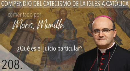 Compendio del Catecismo de la Iglesia Católica: Nº 208 ¿Qué es el juicio particular? Responde Mons. José Ignacio Munilla, obispo de San Sebastián