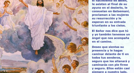 Los ángeles acompañan a Jesús toda su vida. Tú y yo también tenemos un ángel que nos acompaña / Por P. Carlos García Malo