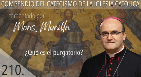 Compendio del Catecismo de la Iglesia Católica: Nº 210 ¿Qué es el purgatorio? Responde Mons. José Ignacio Munilla, obispo de San Sebastián