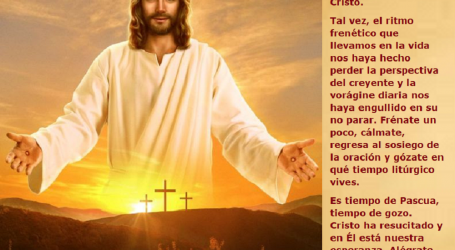 Cristo ha resucitado y en Él está nuestra esperanza / Por P. Carlos García Malo