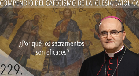 Compendio del Catecismo de la Iglesia Católica: Nº 229 ¿Por qué los sacramentos son eficaces? Responde Mons. José Ignacio Munilla, obispo de San Sebastián