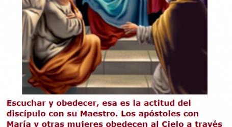 Como la Virgen María y los apóstoles perseveremos en oración esperando un nuevo Pentecostés / Por P. Carlos García Malo