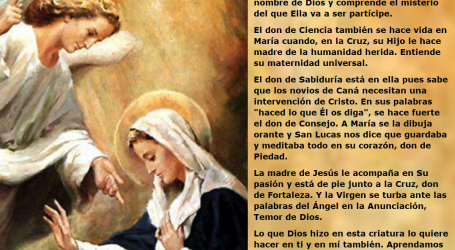 Aprendamos de la Virgen María y abandonémonos en docilidad al Espíritu Santo / Por P. Carlos García Malo