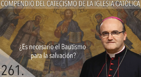 Compendio del Catecismo de la Iglesia Católica: Nº 261 ¿Es necesario el Bautismo para la salvación? Responde Mons. José Ignacio Munilla, obispo de San Sebastián
