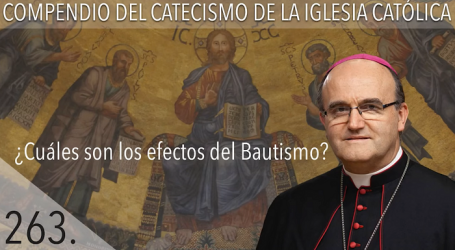Compendio del Catecismo de la Iglesia Católica: Nº 263 ¿Cuáles son los efectos del Bautismo? Responde Mons. José Ignacio Munilla, obispo de San Sebastián