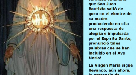 La Virgen María sigue llevando la presencia de Jesús, impronta de santidad y presencia divina / Por P. Carlos García Malo