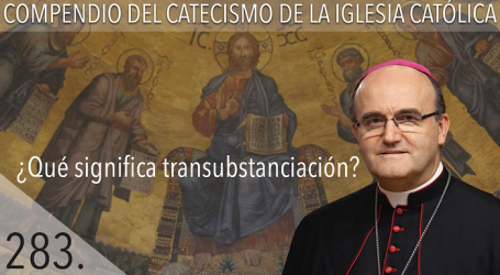 Compendio del Catecismo de la Iglesia Católica: Nº 283 ¿Qué significa transubstanciación? Responde Mons. José Ignacio Munilla, obispo de San Sebastián