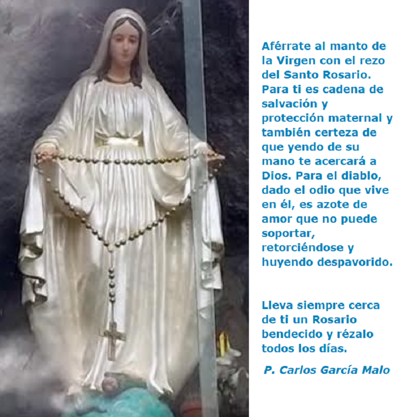 Aférrate al manto de la Virgen con el rezo del Santo Rosario / Por P.  Carlos García Malo – caminocatolico