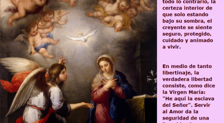 La verdadera libertad consiste, como dice la Virgen María: «He aquí la esclava del Señor» / Por P. Carlos García Malo