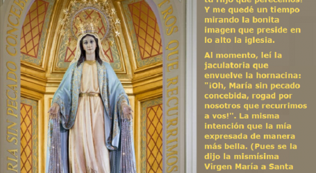 «¡Oh, María sin pecado concebida, rogad por nosotros que recurrimos a vos!» / Por P. Carlos García Malo