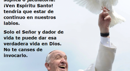 ¡Ven Espíritu Santo! / Por P. Carlos García Malo