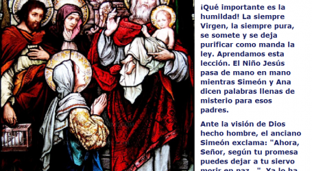 El Niño presentado en el templo y la purificación de María Santísima: ¡Qué importante es la humildad! / Por P. Carlos García Malo
