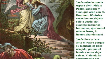 La oración de Jesús en el huerto: Jesús llora y reza ante el Padre porque su mensaje es poco acogido / Por P. Carlos García Malo