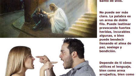 Malas palabras no salgan de vuestra boca, no pongáis triste al Espíritu Santo de Dios / Por P. Carlos García Malo