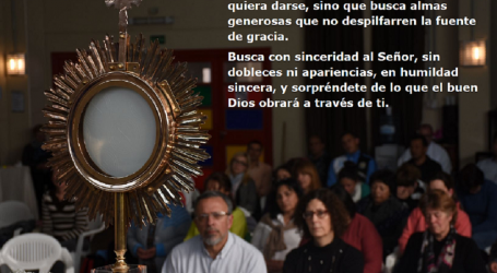 Busca con sinceridad al Señor, sin dobleces ni apariencias, en humildad sincera / Por P. Carlos García Malo
