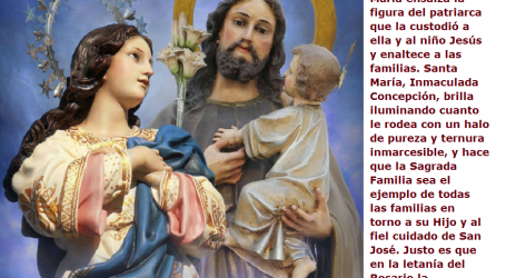 Santa María, Inmaculada Concepción, Reina de las familias / Por P. Carlos García Malo