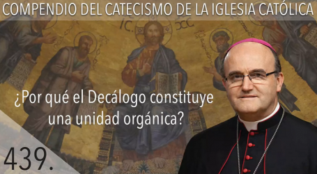 Compendio del Catecismo de la Iglesia Católica: Nº 439 ¿Por qué el Decálogo constituye una unidad orgánica? Responde Mons. José Ignacio Munilla, obispo de San Sebastián