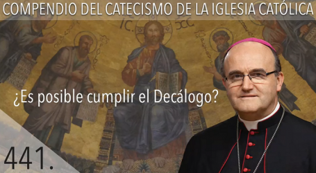 Compendio del Catecismo de la Iglesia Católica: Nº 441 ¿Es posible cumplir el Decálogo? Responde Mons. José Ignacio Munilla, obispo de San Sebastián 