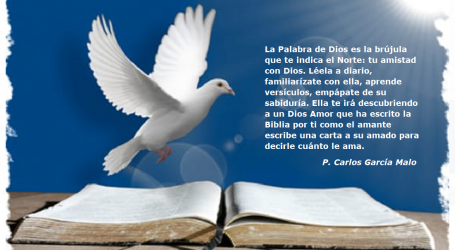 La Palabra de Dios te irá descubriendo a un Dios Amor que ha escrito la Biblia por ti / Por P. Carlos García Malo