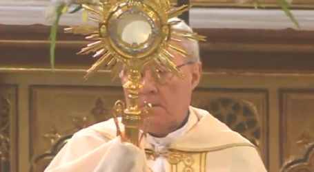 Adoración Eucarística con el P. José Aurelio Martín, en la Basílica de la Concepción de Madrid, 18-1-2022