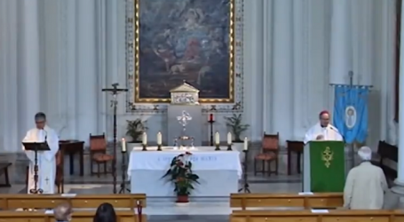 Misterios Gozosos del Santo Rosario en la capilla de Adoración Eucarística Perpetua de Toledo, 12-2-2022