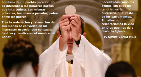 Ora por los sacerdotes, sin ellos no celebraríamos la vida en Dios que nos da a diario la Iglesia / Por P. Carlos García Malo