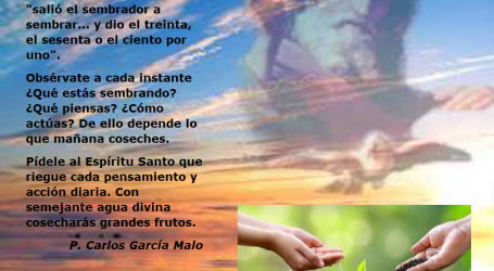 Pídele al Espíritu Santo que riegue cada pensamiento y acción diaria / Por P. Carlos García Malo