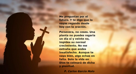 Solo la vida en Dios te colmará de dicha y plenitud / Por P. Carlos García Malo