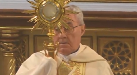 Adoración Eucarística con el P. José Aurelio Martín, en la Basílica de la Concepción de Madrid, 3-3-2022