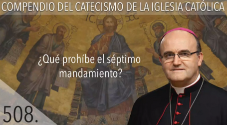 Compendio del Catecismo de la Iglesia Católica: Nº 508 ¿Qué prohíbe el séptimo mandamiento? Responde Mons. José Ignacio Munilla, obispo de Orihuela-Alicante