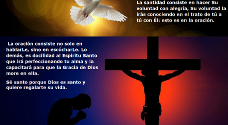 Sé santo porque Dios es santo y quiere regalarte su vida / Por P. Carlos García Malo