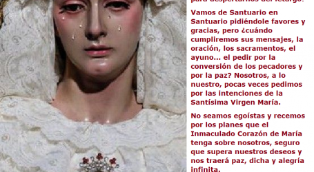 ¡Cuántas lágrimas de la Virgen tenemos que ver aún para que se nos conmueva el corazón! / Por P. Carlos García Malo