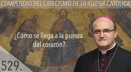 Compendio del Catecismo de la Iglesia Católica: Nº 529 ¿Cómo se llega a la pureza del corazón? Responde Mons. José Ignacio Munilla, obispo de Orihuela-Alicante