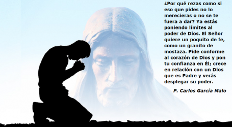 Pide conforme al corazón de Dios y pon tu confianza en Él / Por P. Carlos García Malo