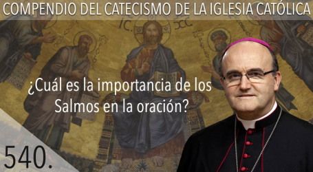 Compendio del Catecismo de la Iglesia Católica: Nº 540 ¿Cuál es la importancia de los Salmos en la oración? Responde Mons. José Ignacio Munilla, obispo de Orihuela-Alicante