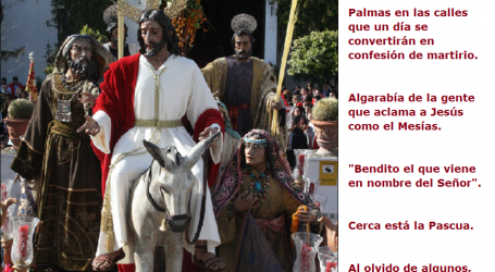 Domingo de Ramos, domingo de vítores al Rey de reyes, al Señor de señores / Por P. Carlos García Malo