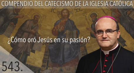 Compendio del Catecismo de la Iglesia Católica: Nº 543 ¿Cómo oró Jesús en su pasión? Responde Mons. José Ignacio Munilla, obispo de Orihuela-Alicante 