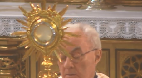 Adoración Eucarística con el P. José Aurelio Martín, en la Basílica de la Concepción de Madrid, 19-4-2022