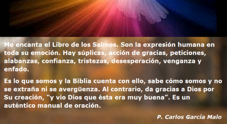 La Biblia da gracias a Dios por Su creación, “y vio Dios que ésta era muy buena” / Por P. Carlos García Malo
