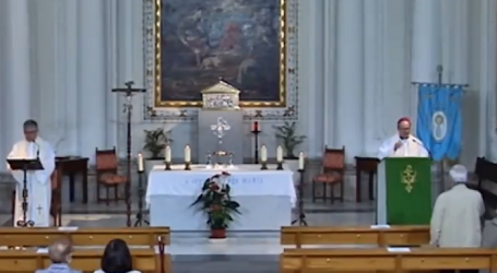 Misterios Gozosos del Santo Rosario en la capilla de Adoración Eucarística Perpetua de Toledo, 11-6-2022