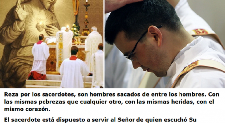 El sacerdote está dispuesto a servir al Señor de quien escuchó Su llamada, apóyalo con tu oración / Por P. Carlos García Malo