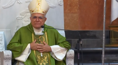 Homilía de Mons. Demetrio Fernández, obispo de Córdoba, del domingo de la 14ª semana de Tiempo Ordinario, 3-7-2022