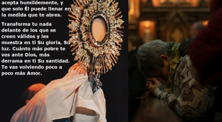 Cuánto más pobre te ves ante Dios, más derrama en ti Su santidad / Por P. Carlos García Malo