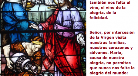 Señor, por intercesión de la Virgen visita nuestras familias, nuestros corazones y sálvanos / Por P. Carlos García Malo