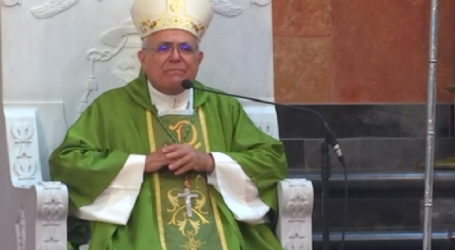 Homilía de Mons. Demetrio Fernández, obispo de Córdoba, y lecturas del domingo de la 20ª semana de Tiempo Ordinario, 14-8-2022