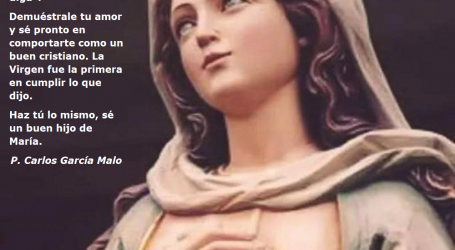 Amas a María. Recuerda lo que dijo: «Haced lo que Él os diga» / Por P. Carlos García Malo